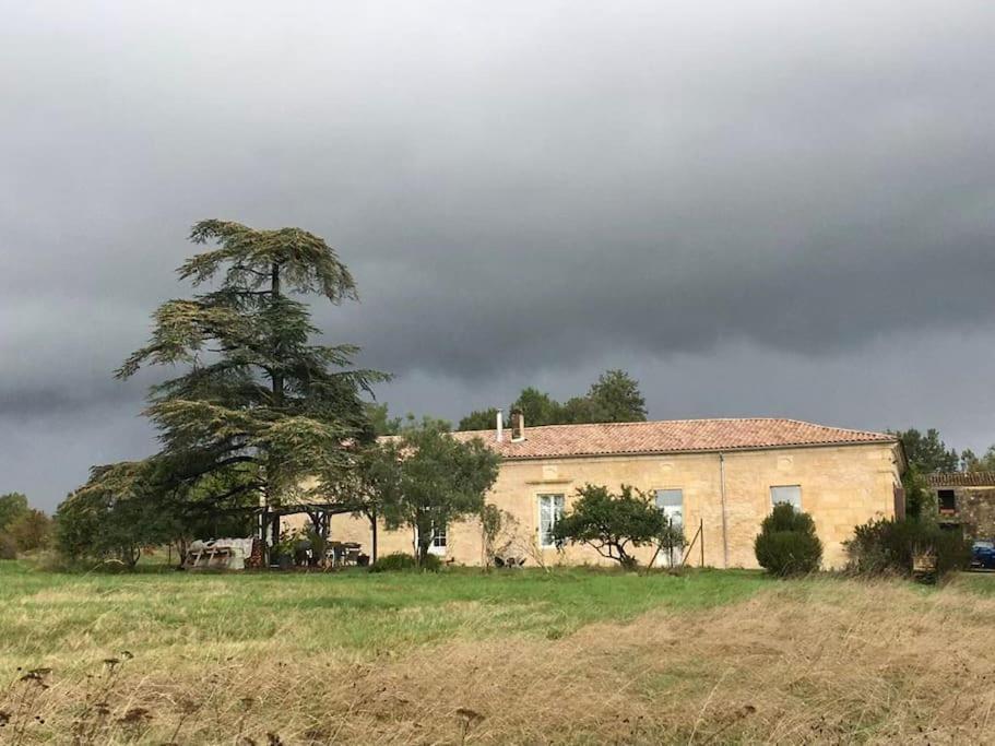 Beau Gite Dans Domaine Viticole & Arboricole Cursan Exterior photo