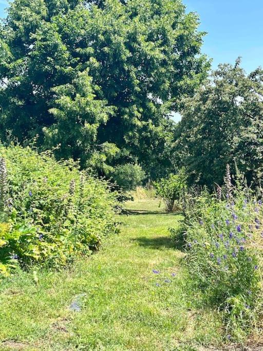 Beau Gite Dans Domaine Viticole & Arboricole Cursan Exterior photo